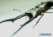 ‘한국구상대제전’, 백화점서 쇼핑하듯 작품 가격표 보고 구입한다!