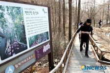 누구나 산 정상까지 숲체원 편안한 등산로