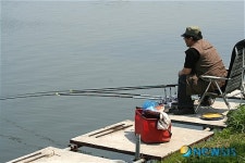 강태공의 망중한