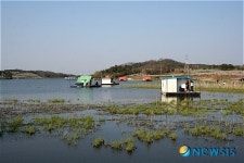 배꽃향기가 그윽한 마정낚시터