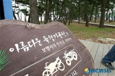 아름다운 솔향기공원