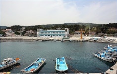 수산물 직매장이 있는 주전항