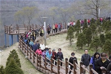 대덕구, 안전한 보행환경개선사업 본격 추진