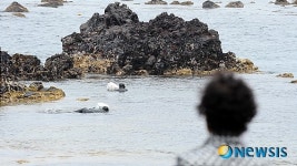 제주해녀의 물질공연