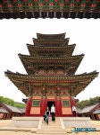 한국관광 서포터즈가 대백제의 부활을 알린다