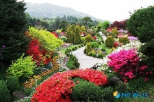 오색빛으로 물든 아침고요수목원 하경정원