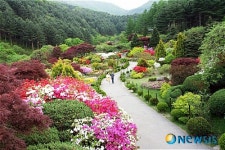 아침고요수목원 5월의 봄나들이