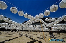 봉암사 대웅전 앞 연등