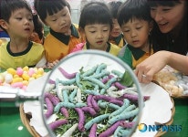 컬러 누에 신기해요!