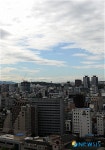 오후에는 더 화창하게