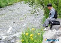 시민도 백로도 산책 중...