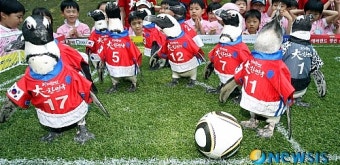 월드컵 축구 응원하는 에버랜드 펭귄