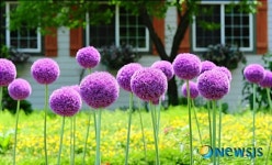 나들이 가족 맞이하는 허브아일랜드 야외식물원