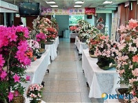 김제우체국, 개국 112주년 철쭉 꽃 잔치