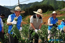정선 개미들 마을에서 봉사활동 벌이는 이재오 위원장