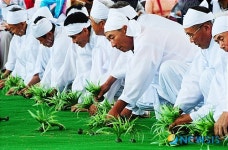 어르신들이 펼친 강릉학산오독떼기 민속공연