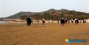 해변 백사장을 달리는 승마