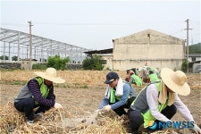 대구농협,“부족한 농촌 일손 우리가 책임 집니다”