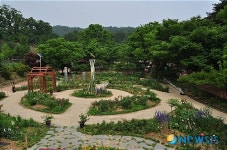 대구 동구 봉무공원 나비의 정원 개장
