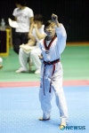 제주국제생활체육 태권도대회