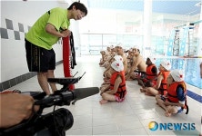 라이프가드 레스큐튜브 교육