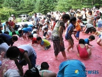 보은 황토사과 여름 캠프에 분양 가족 초대