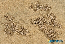 자연이 선사한 아름다운 예술품