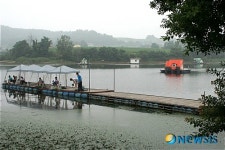 토종붕어전용터 천안시 마정낚시터