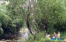 개울가 나무그늘 피서