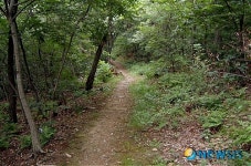대구 앞산에 용두골∼달비골까지 자락길 13.6㎞ 조성