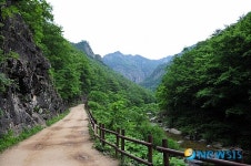 주왕산의 아름다운 산림욕 길