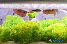 롯데마트 최첨단 식물공장 행복가든 오픈