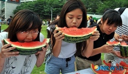 누가누가 빨리먹나