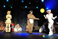 어린이 캣츠-뚱보고양이 댕글이의 소원