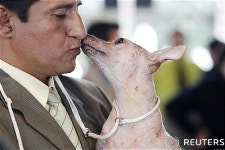 털 없어도 주인에게는 사랑스러운 개