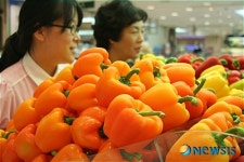 롯데百 포항점, 여름웰빙식품 인기