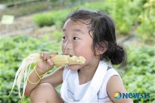 이렇게 맛있는 옥수수는 처음이야