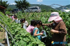 대구 달성군농기센터 운영 도시농부학교 인기짱
