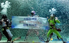정어리 매직 서커스 쇼