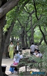 시원한 금천길