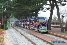 삼척해양레일바이크, 연일 매진