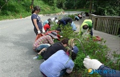 창원 성산구 공무원 가족봉사단 자연 봉사활동