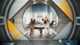 개와 고양이 의기투합 캣츠앤독스 2