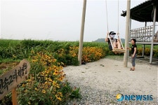 그네 타는 관광객