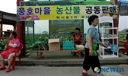 풍호마을 농산물 공동판매