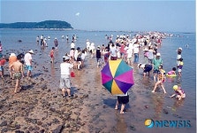 무창포해수욕장, 10~15일까지 신비의 바닷길 체험