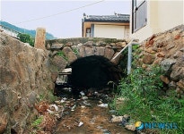 창녕, 문화제 관리 허점
