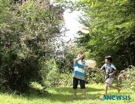 서산, 나비농장 나비아이… 남방제비나비 등 100여 종 서식