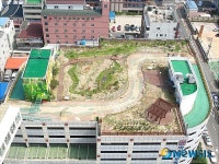 녹색정원으로 변신한 마산대우백화점 별관 옥상