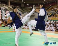 [소식]충주서 ‘전국 택견 한마당’ 열려